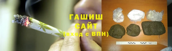 гидра Осинники