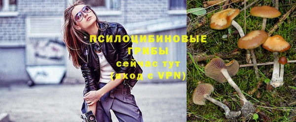 кокс Осташков