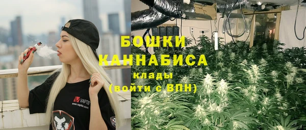 гидра Осинники
