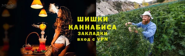гидра Осинники