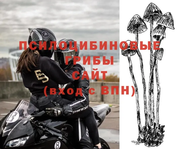 hydra рабочий сайт  где можно купить   Адыгейск  Галлюциногенные грибы Psilocybe 